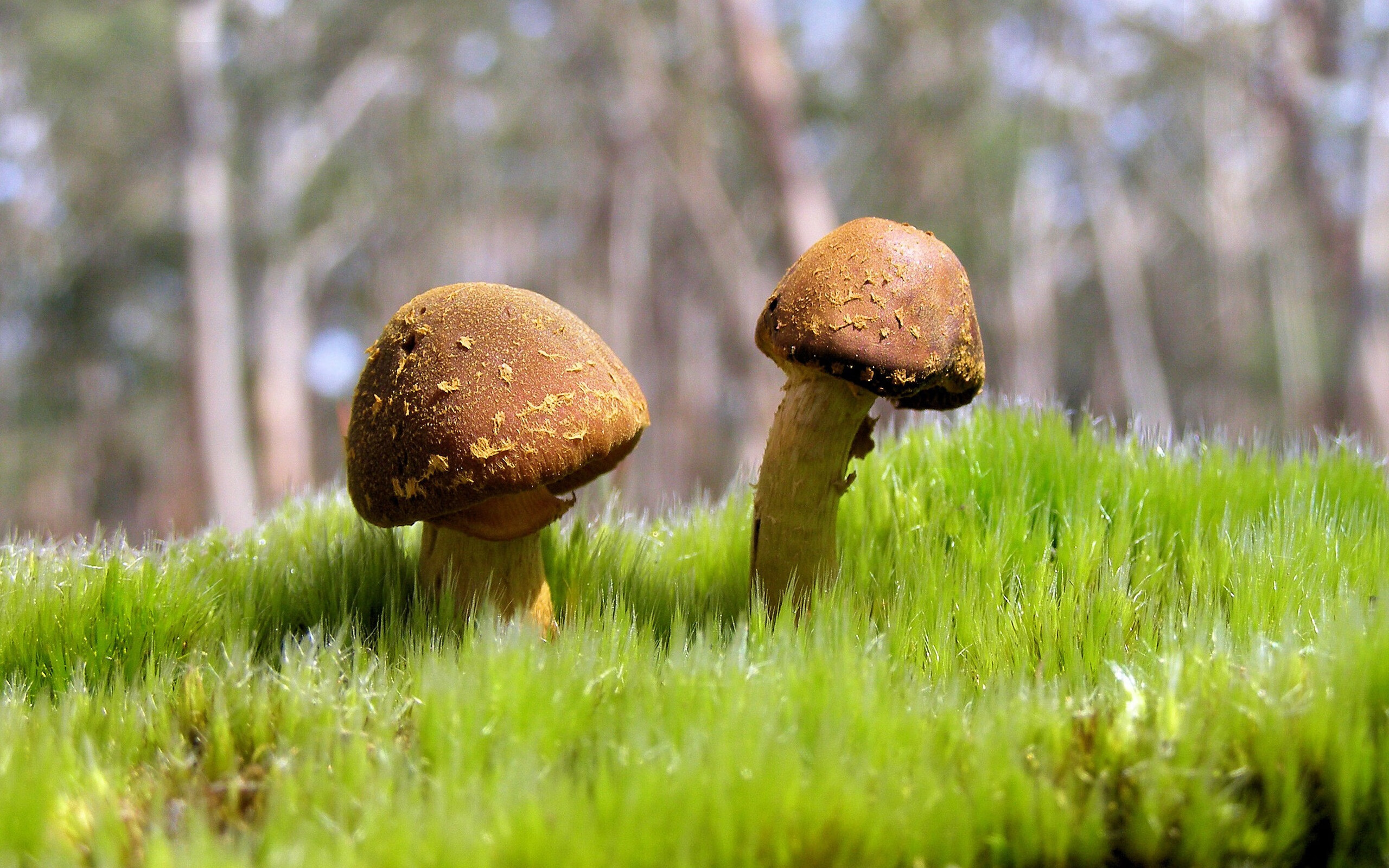 当南美高原龙卷风遇上北欧堡垒，坎特如何成为攻防转换的终极密钥