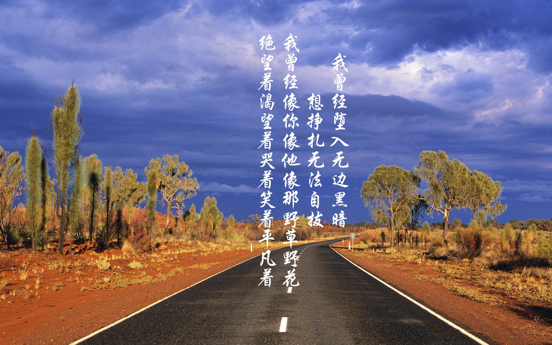 2026世界杯焦点战，瑞典强势逆转，历史性击败巴西