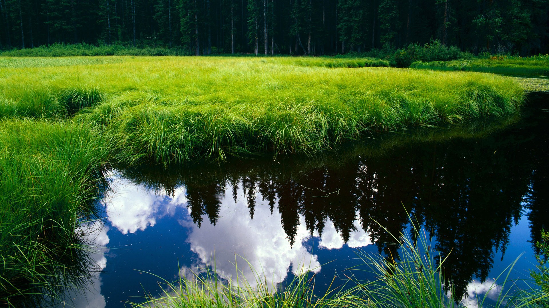 跨界狂欢，当足球巨星血拼中美洲，F1赛道惊现魔笛传人