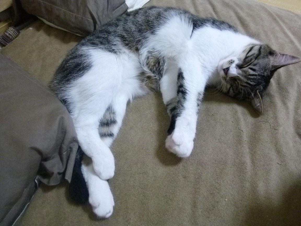 东决关键战之夜，杜兰特成为全场焦点