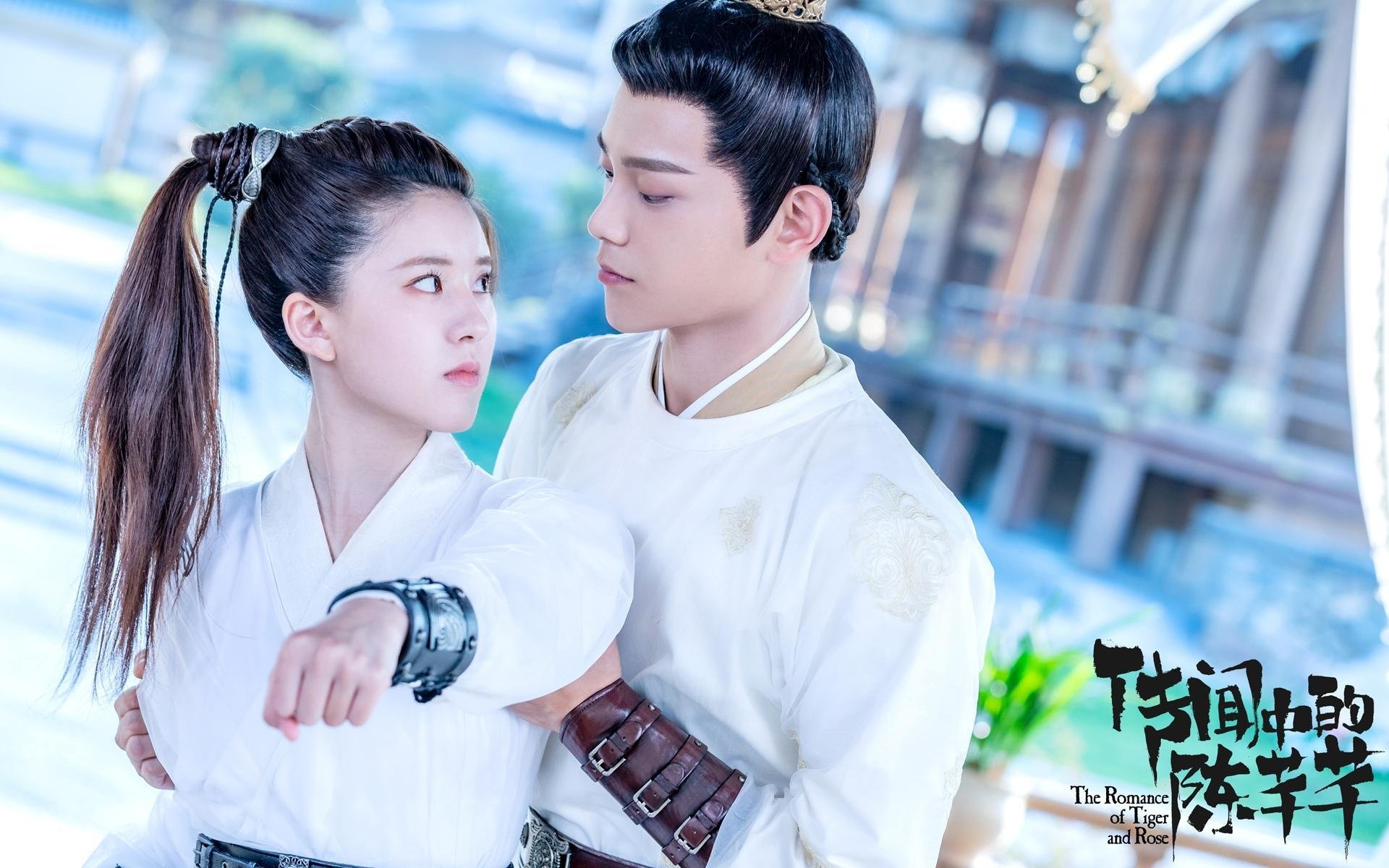 跨越柏林与非洲荒原,一场自我救赎与足球血性的时代对话