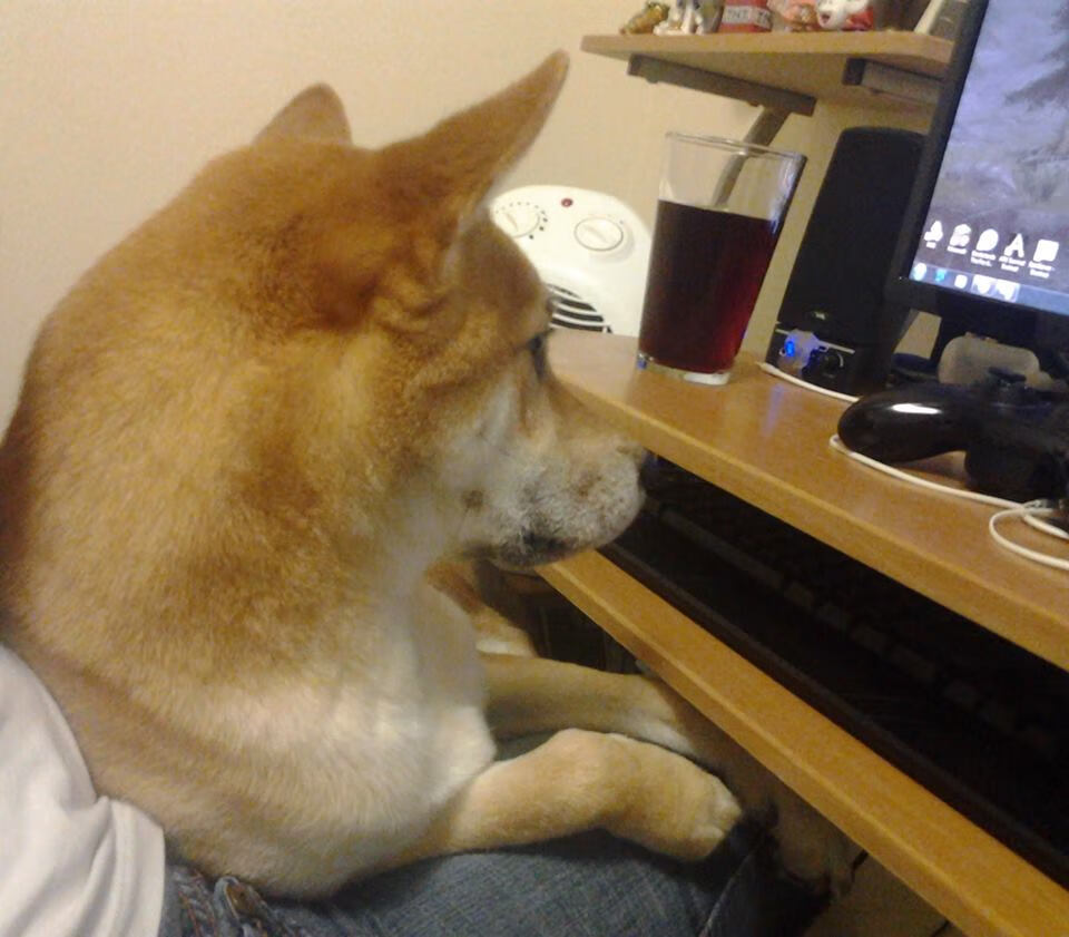 字母哥点燃引擎，广东队战略围剿奏凯