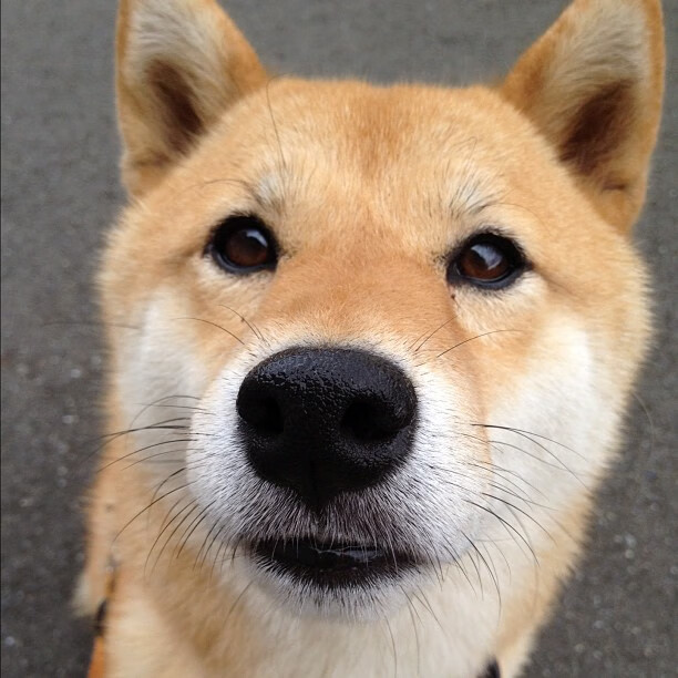 沉默者与围猎者,当法比尼奥在绝境中爆发,韩国以集体之名完成压制