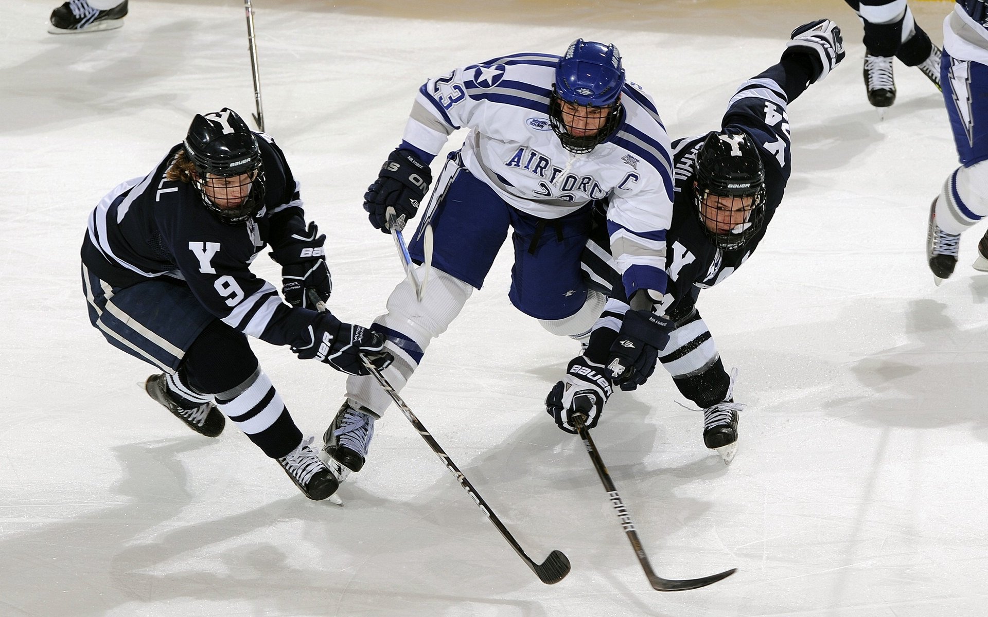 浙江队的复仇之路，武切维奇的惊天一投如何改写CBA历史