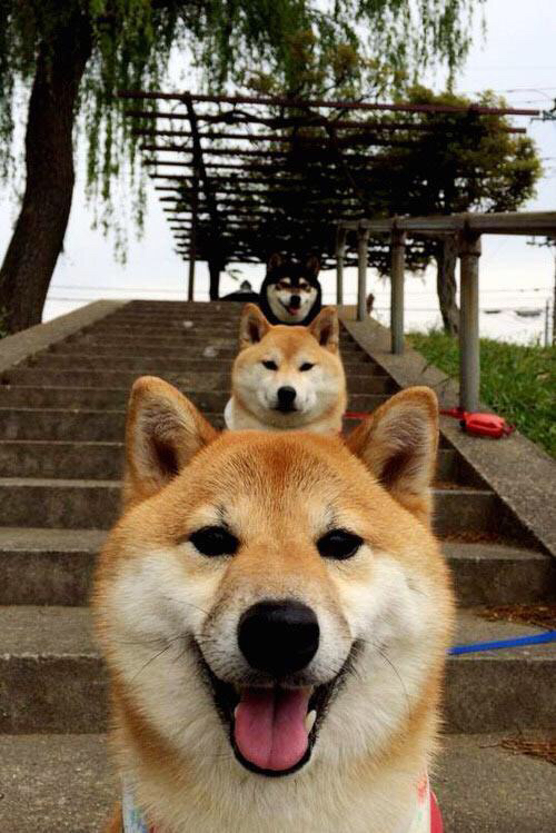 哈登点燃F1之夜，当篮球巨星撞上极速轰鸣，跨界火花如何重塑体育狂欢？