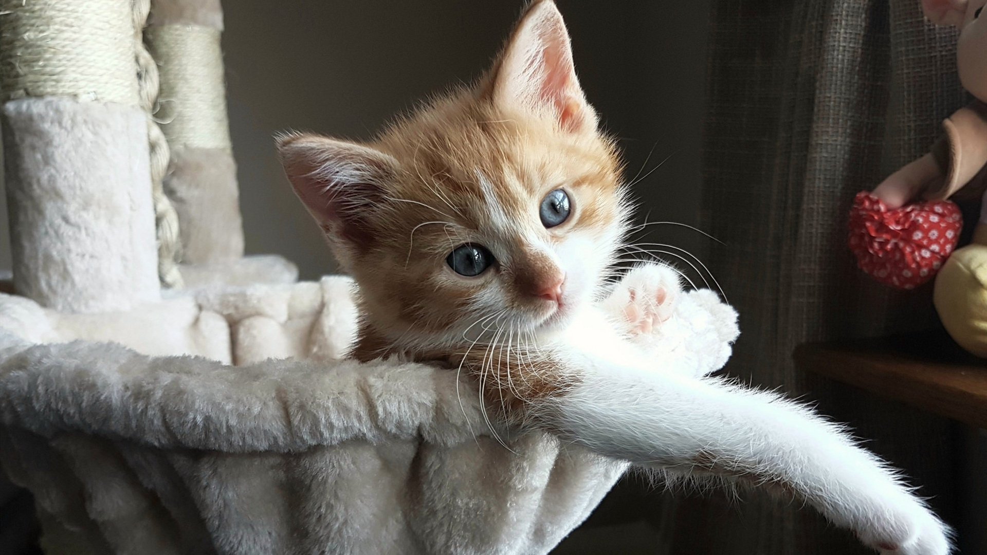 稳定,是最锋利的冠军之剑