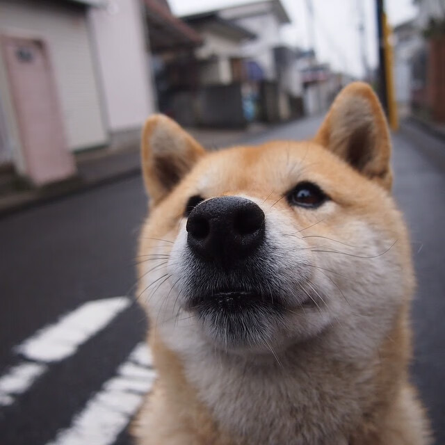 迪亚斯连击制胜,沙特全面压制韩国斩获关键胜利